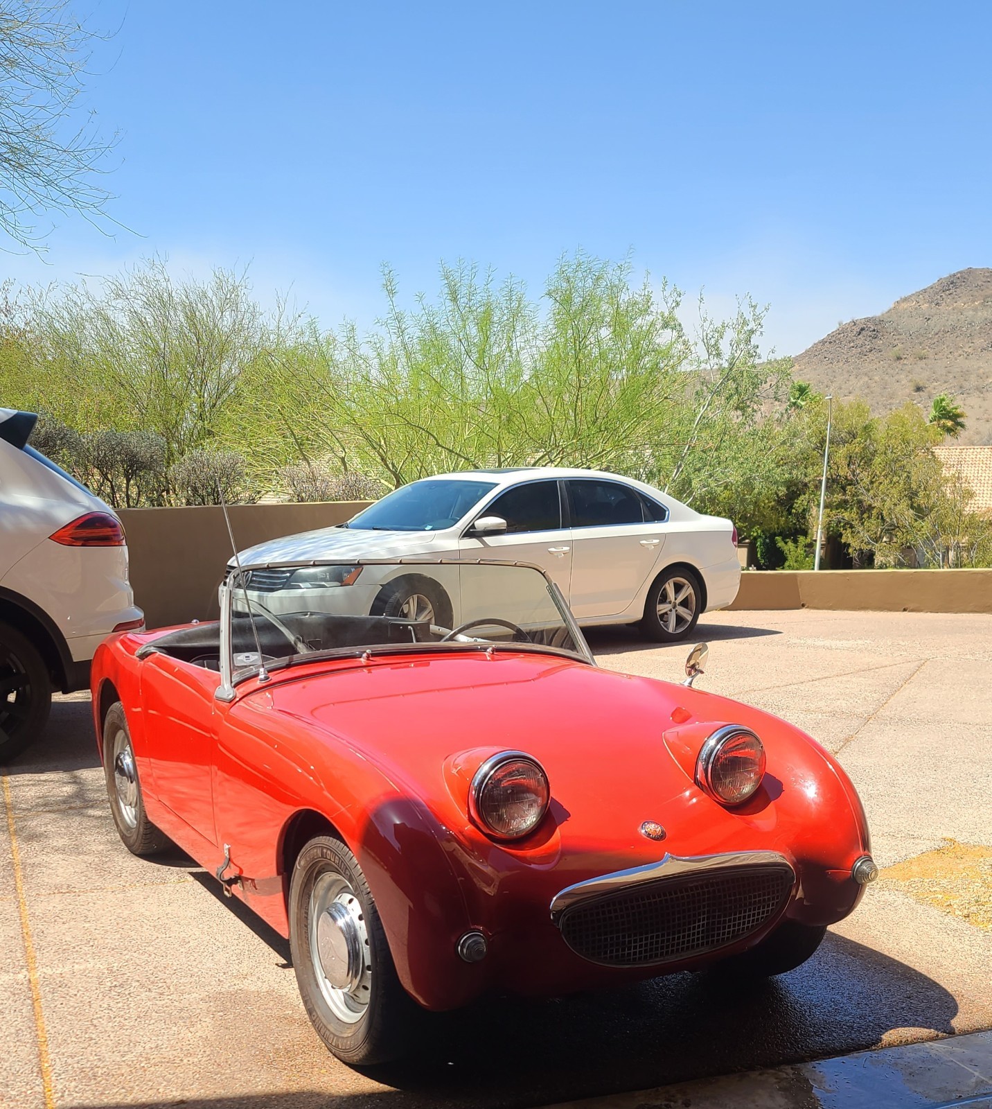 Austin-Healey-Other-1959-Convertible