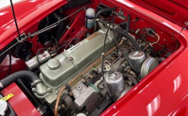 Austin-healey-3000-1967-Colorado-Red-Black-7