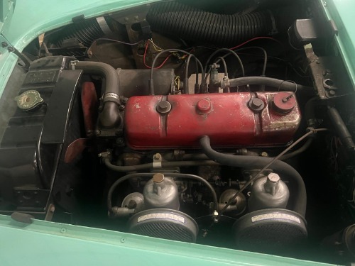 Austin-healey-Other-1956-Green-Black-4