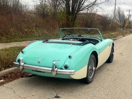 Austin-healey-Other-1956-Green-Black