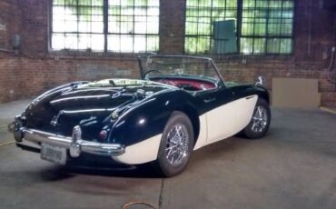 Austin-healey-Other-1959-2