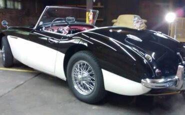 Austin-healey-Other-1959-3