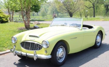 Austin-healey-Other-1959-Yellow-Black-1