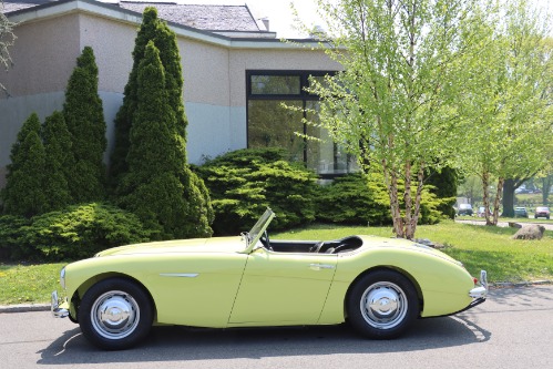 Austin-healey-Other-1959-Yellow-Black-3