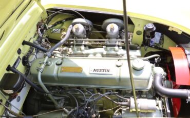 Austin-healey-Other-1959-Yellow-Black-7