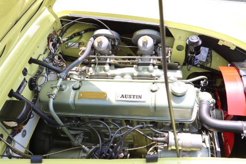 Austin-healey-Other-1959-Yellow-Black-7