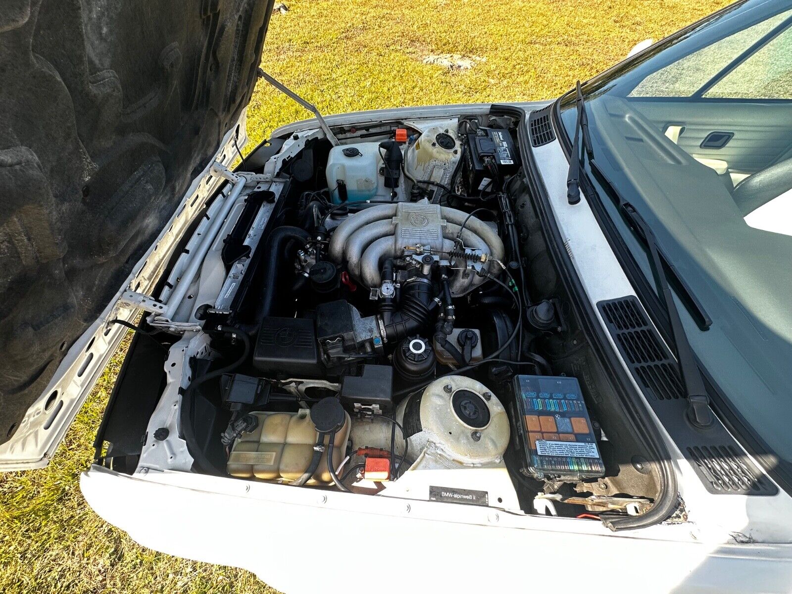 BMW-3-Series-1992-Convertible-18
