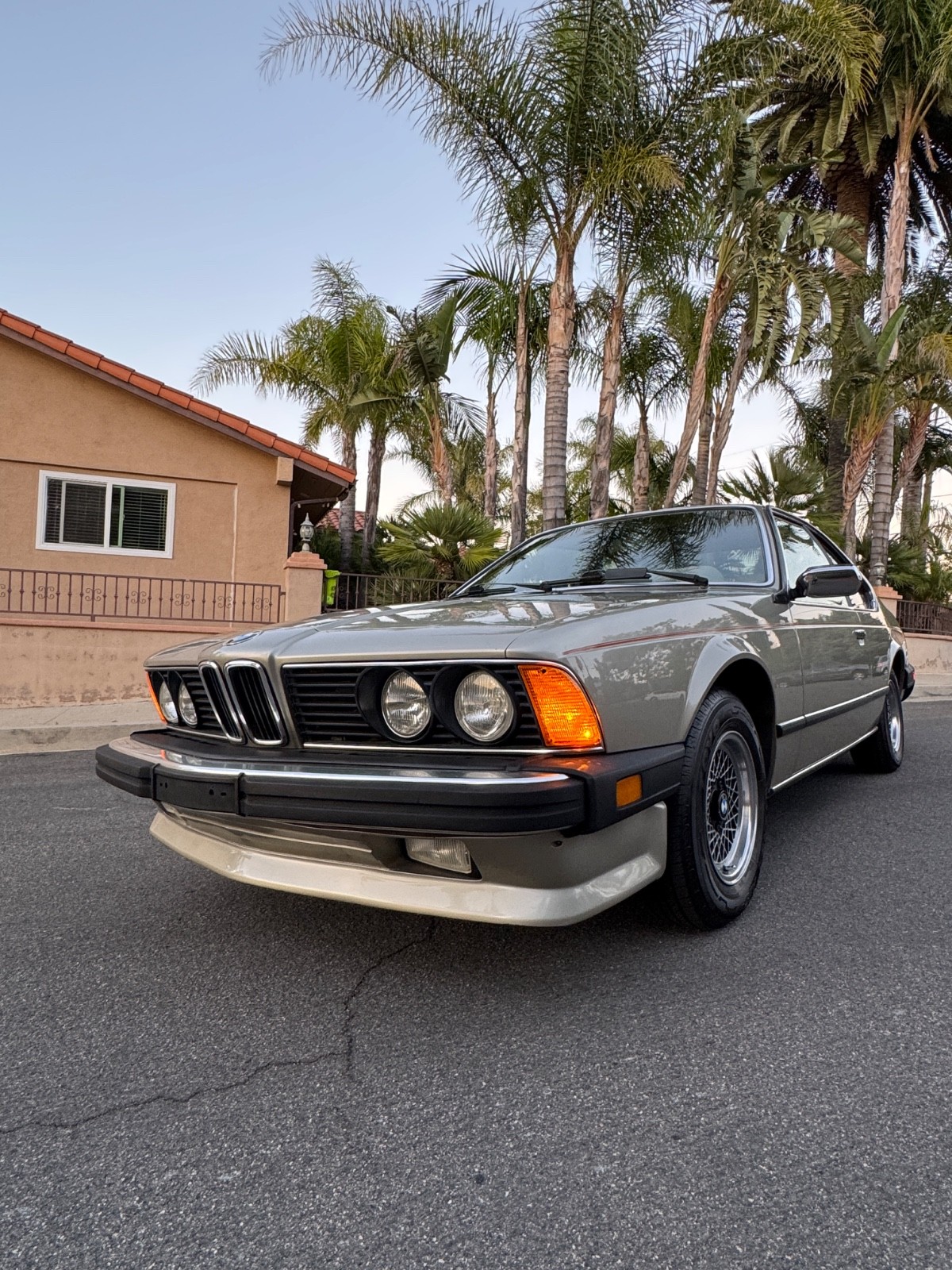 BMW-6-Series-1985-Coupe-9