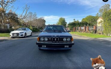 BMW-6-Series-1987-Coupe-33