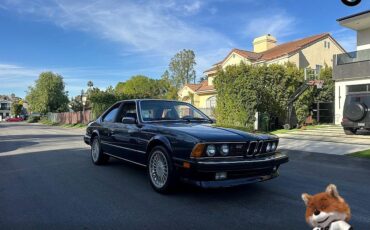 BMW-6-Series-1987-Coupe-34