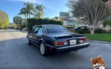 BMW-6-Series-1987-Coupe-38