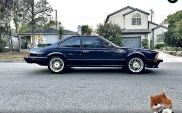 BMW-6-Series-1987-Coupe-7