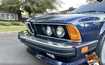 BMW-6-Series-1987-Coupe-8