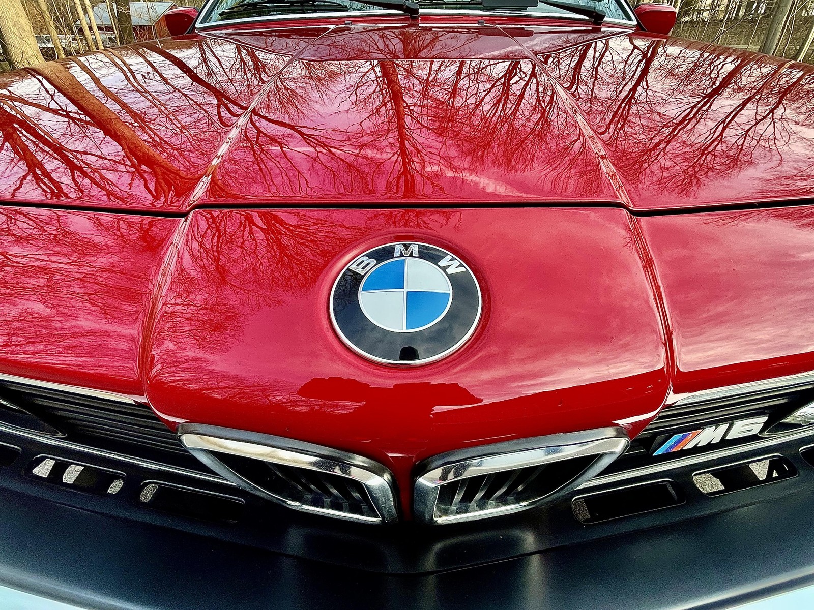 BMW-M6-1987-CERAMIC-COATED-EXCELLENT-10
