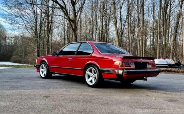 BMW-M6-1987-CERAMIC-COATED-EXCELLENT-6