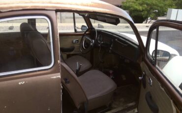 Bettle-1968-brown-1