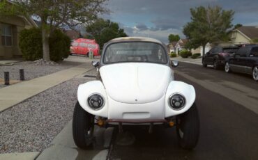Bettle-1968-brown-8