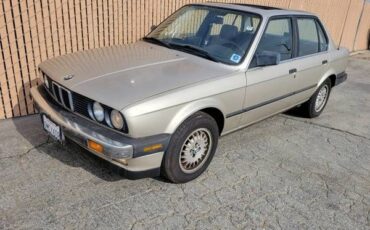 Bmw-325e-1988-Bronzit