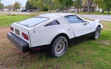 Bricklin-Other-1975-White-Black-6