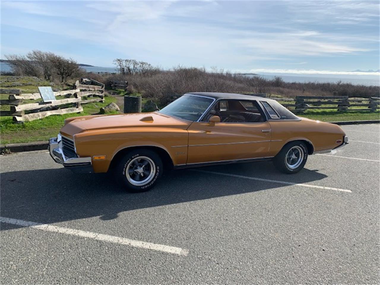 Buick-Century-1973-Harvest-Gold-Saddle-28