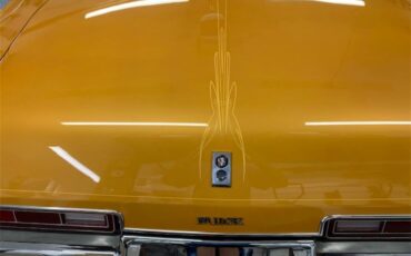 Buick-Century-1973-Harvest-Gold-Saddle-3