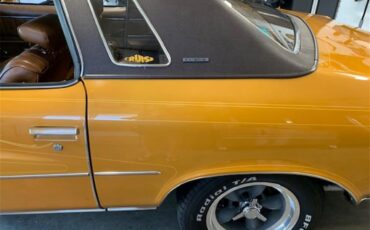 Buick-Century-1973-Harvest-Gold-Saddle-36
