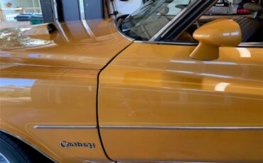 Buick-Century-1973-Harvest-Gold-Saddle-38