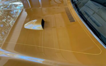 Buick-Century-1973-Harvest-Gold-Saddle-42