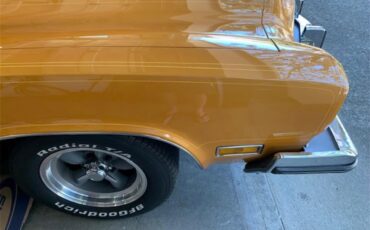 Buick-Century-1973-Harvest-Gold-Saddle-45
