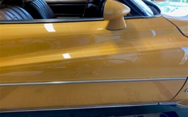 Buick-Century-1973-Harvest-Gold-Saddle-47