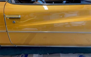 Buick-Century-1973-Harvest-Gold-Saddle-48