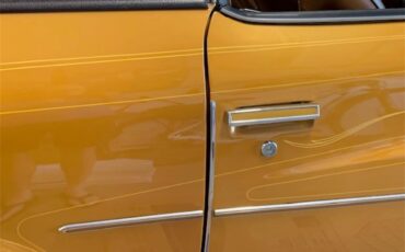 Buick-Century-1973-Harvest-Gold-Saddle-50