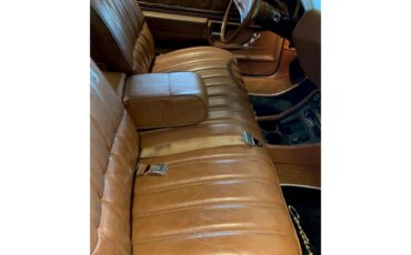 Buick-Century-1973-Harvest-Gold-Saddle-53