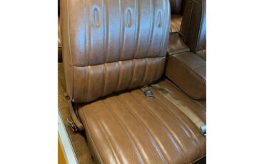 Buick-Century-1973-Harvest-Gold-Saddle-54