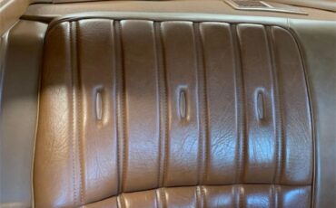Buick-Century-1973-Harvest-Gold-Saddle-56