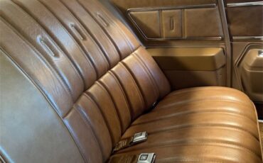 Buick-Century-1973-Harvest-Gold-Saddle-57