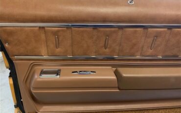 Buick-Century-1973-Harvest-Gold-Saddle-61
