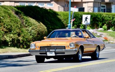 Buick-Century-1973-Harvest-Gold-Saddle-74