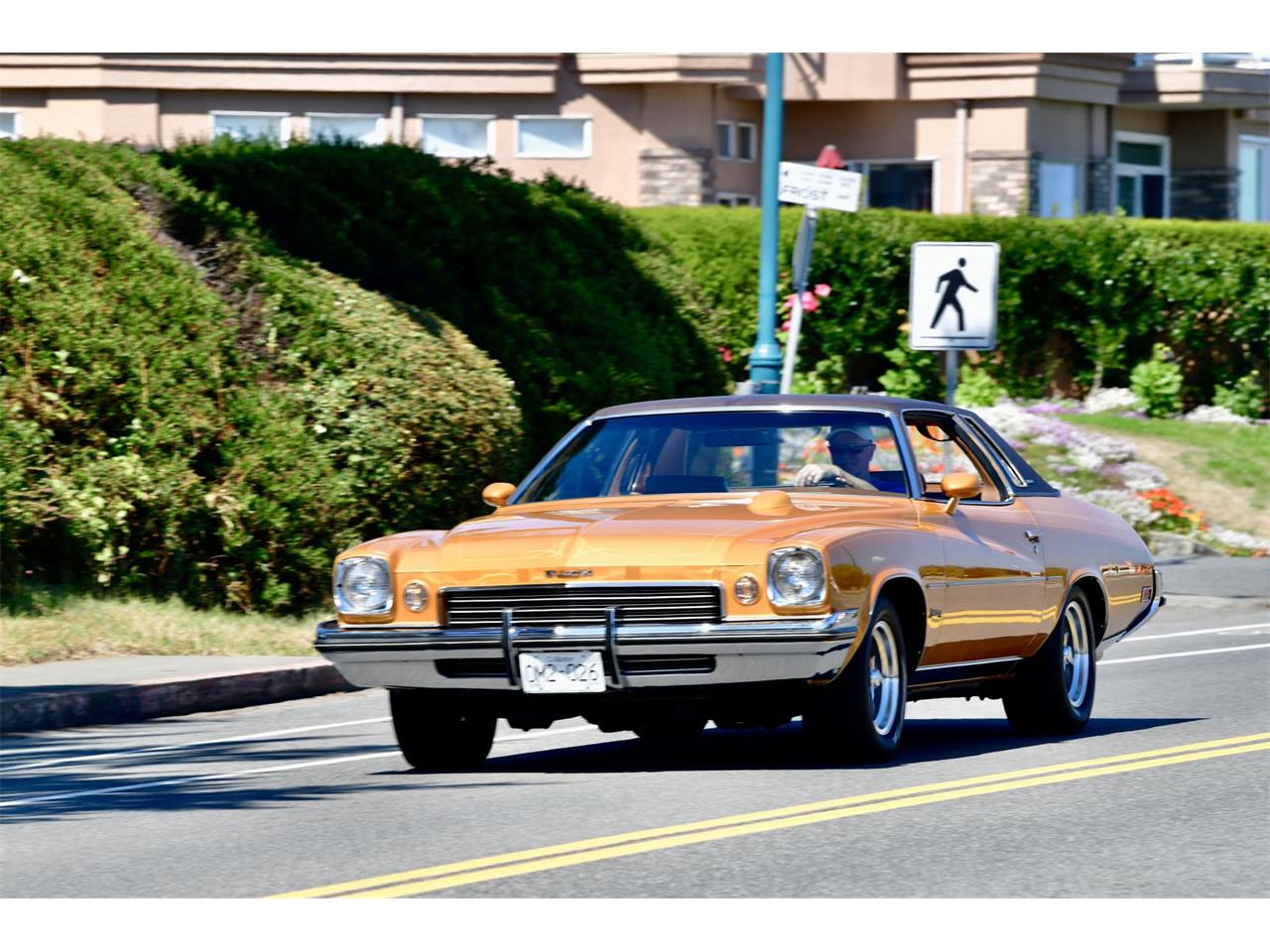 Buick-Century-1973-Harvest-Gold-Saddle-74