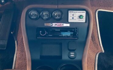 Buick-Century-1973-Harvest-Gold-Saddle-8