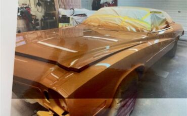 Buick-Century-1973-Harvest-Gold-Saddle-82