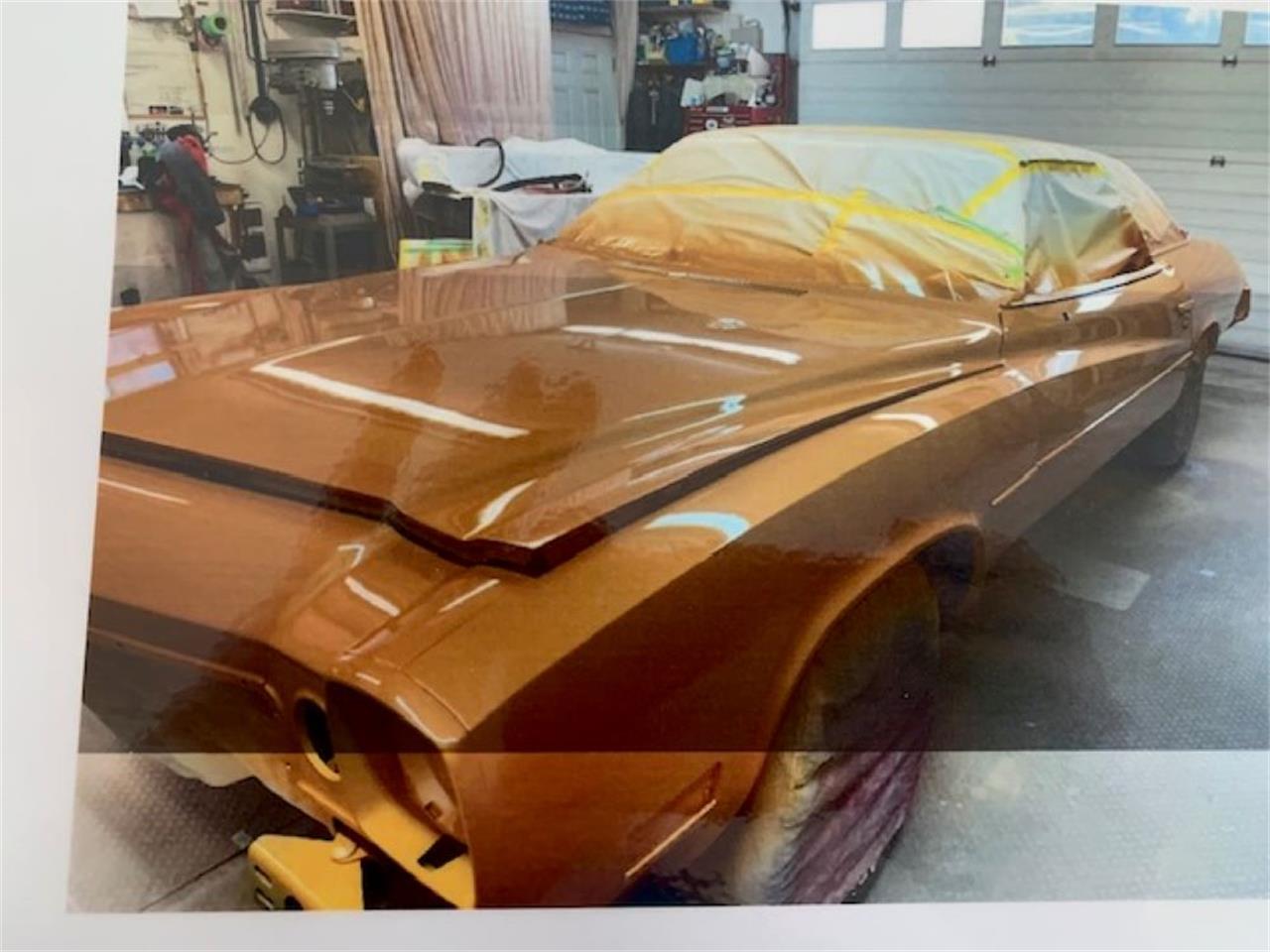 Buick-Century-1973-Harvest-Gold-Saddle-82