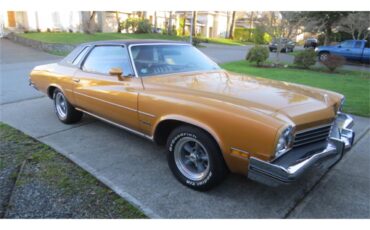 Buick-Century-1973-Harvest-Gold-Saddle-84