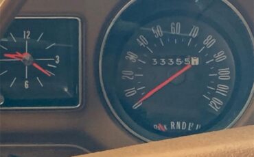 Buick-Century-1973-Harvest-Gold-Saddle-9