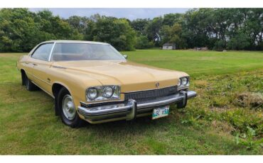 Buick-Custom-1973-Yellow-Beigewhite-1
