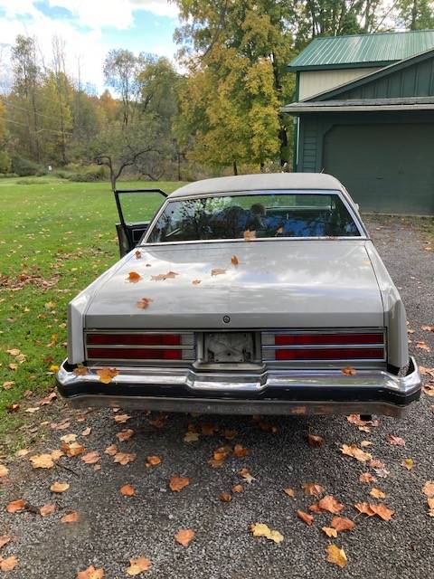 Buick-Electra-1977-silver-1