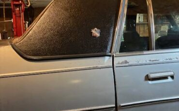 Buick-Electra-1977-silver-10