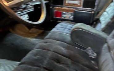 Buick-Electra-1977-silver-5