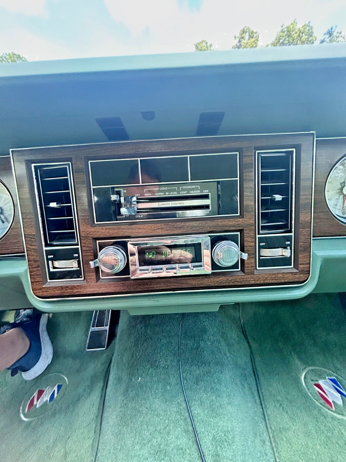 Buick-Electra-1978-Sedan-23