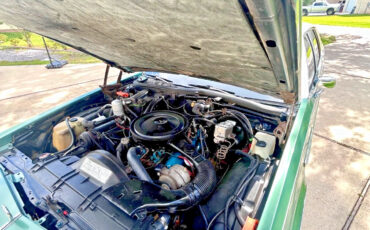 Buick-Electra-1978-Sedan-4